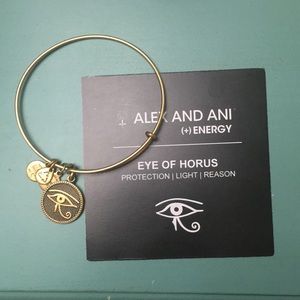 Alex and ani bangle